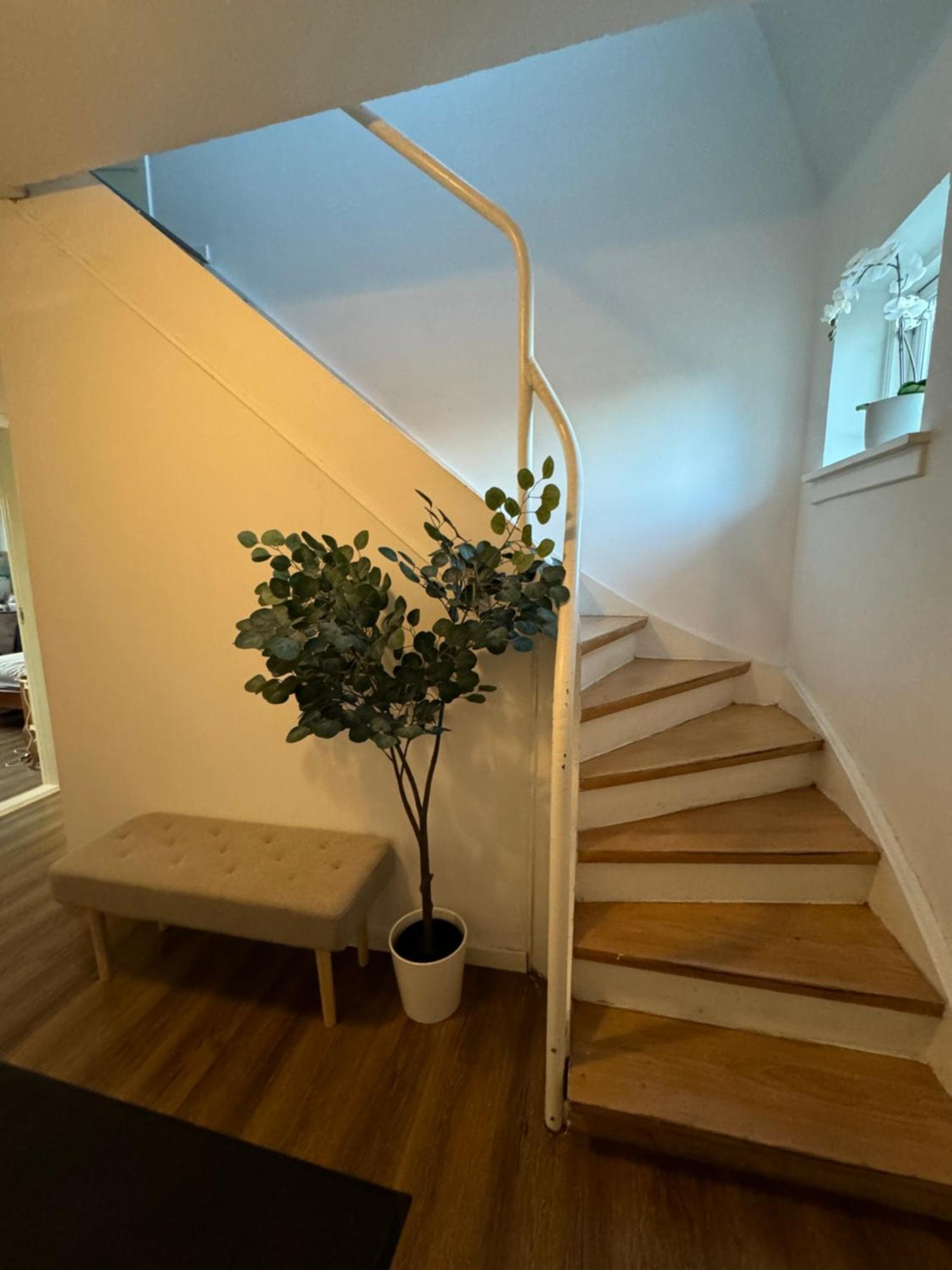 Privatunterkunft Casa De Rainer 7